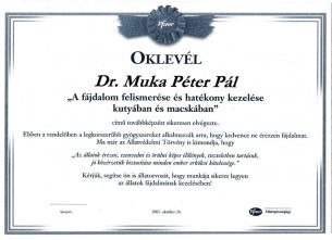 A fájdalom felismerése és hatékony kezelése kutyában és macskában — oklevél
